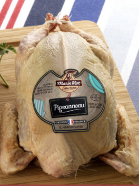 Pigeonneau 